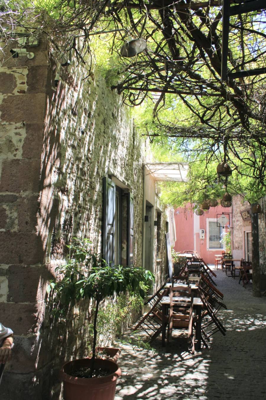 Established Restaurant Business Ladadika, Mytilene, Lesvos
