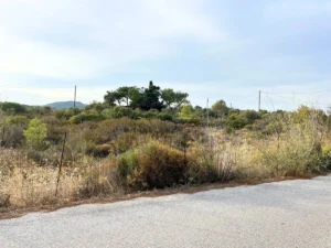 Plot in Aspropotamos from road side