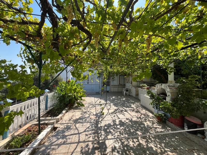 Plot with Existing Structure